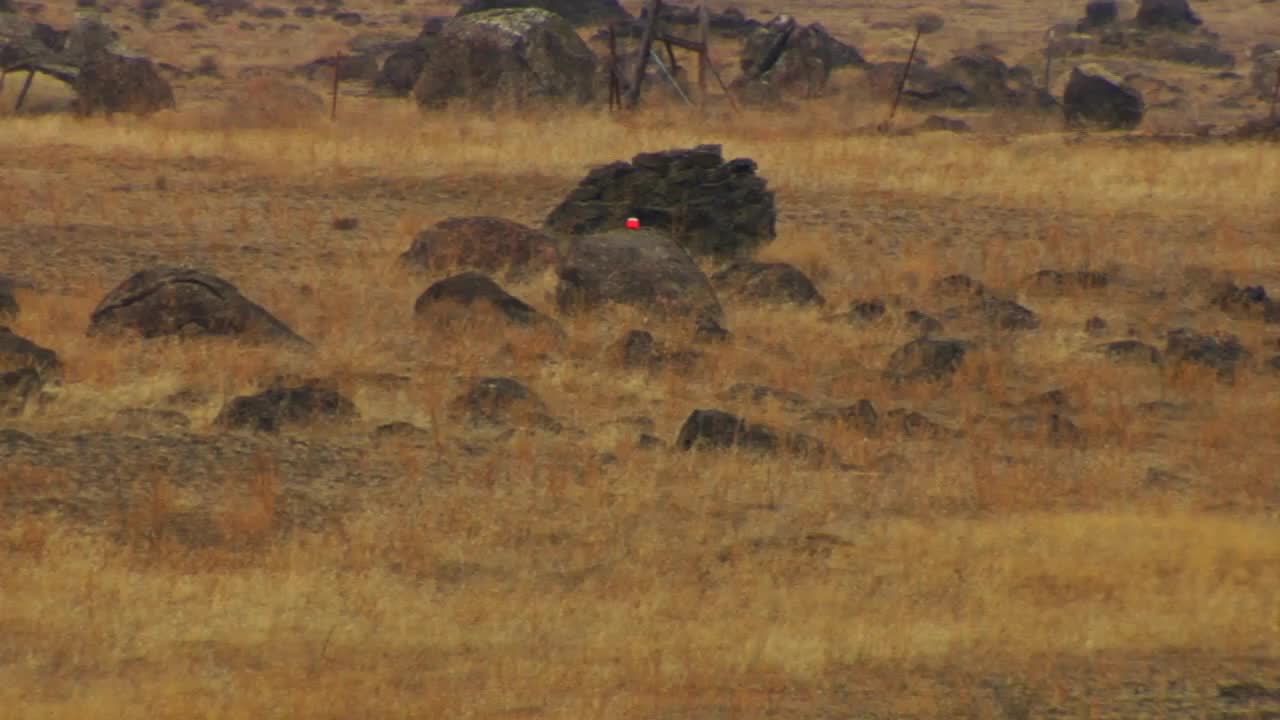 Tannerite 20 Second Video