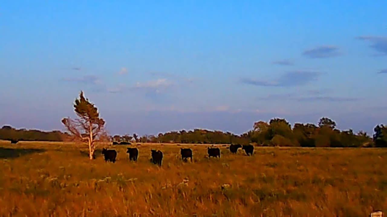 Oklahoma Country Videos. Kansas border to Tulsa, OK