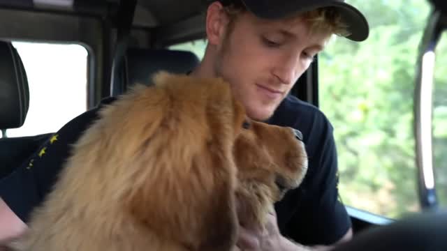 blonde guy mistakes bear cub for big puppy!! omg