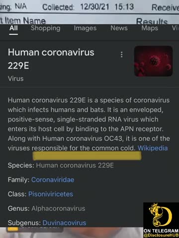 NEW ANGLE IN THE COVID TESTING FRAUD