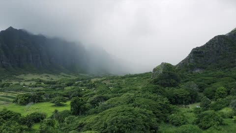 Greenish Forest in between Mountains