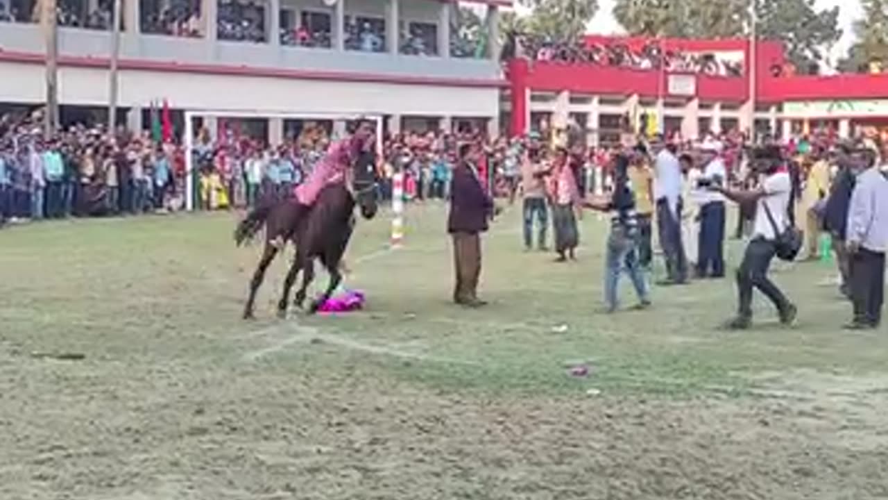 Girls horse 🐎🐎🐎