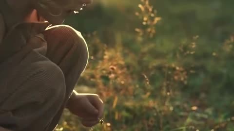 SOO WONDERFUL WHEN CHILDREN PLAY GENTLY WITH ANIMALS