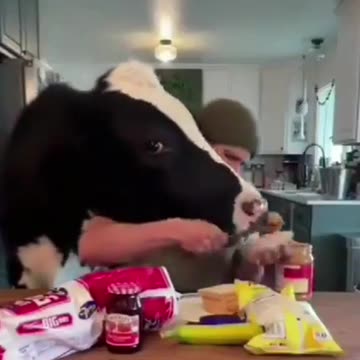 부패한 정부와 함께 사는 기분 ㅋ