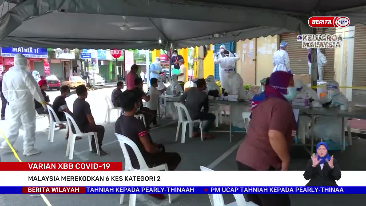 FENOMENA| Kejadian Ikan Paus Terdampar Semakin Kerap