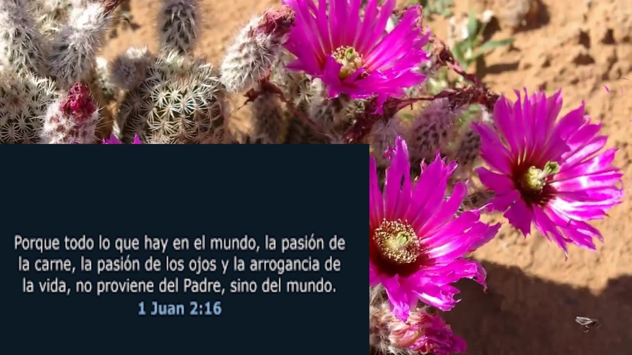 ¿AMAR A DIOS O AL MUNDO? - Devocional