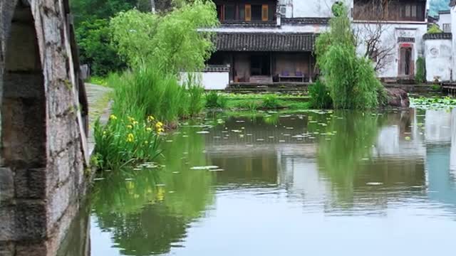Drunken is a dream in Jiangnan