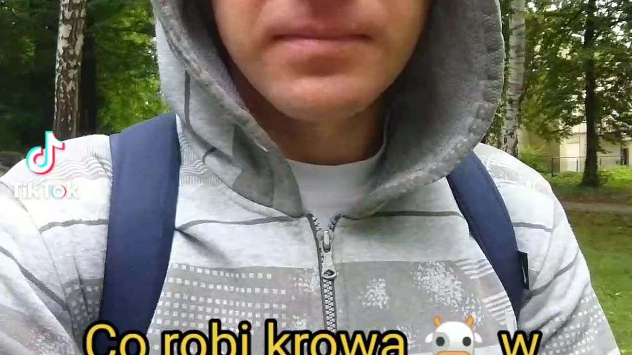 kucharka