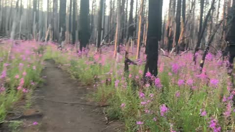 A man learns to appreciate the beauty of flowers as part of The Lord's Bounty