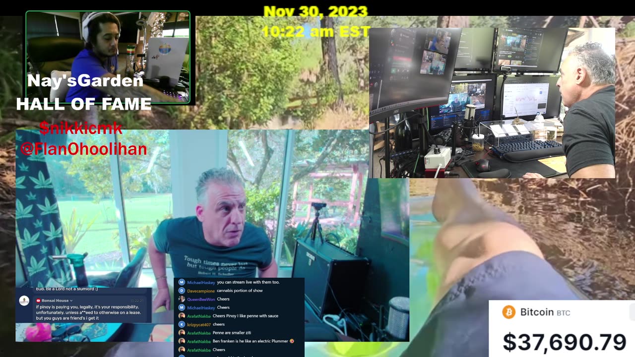 LIVE DEER IN MY YARD AS WE DAB IN THEIR HONOR!