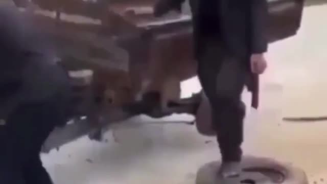 Everybody needs a kick up the backside occasionally