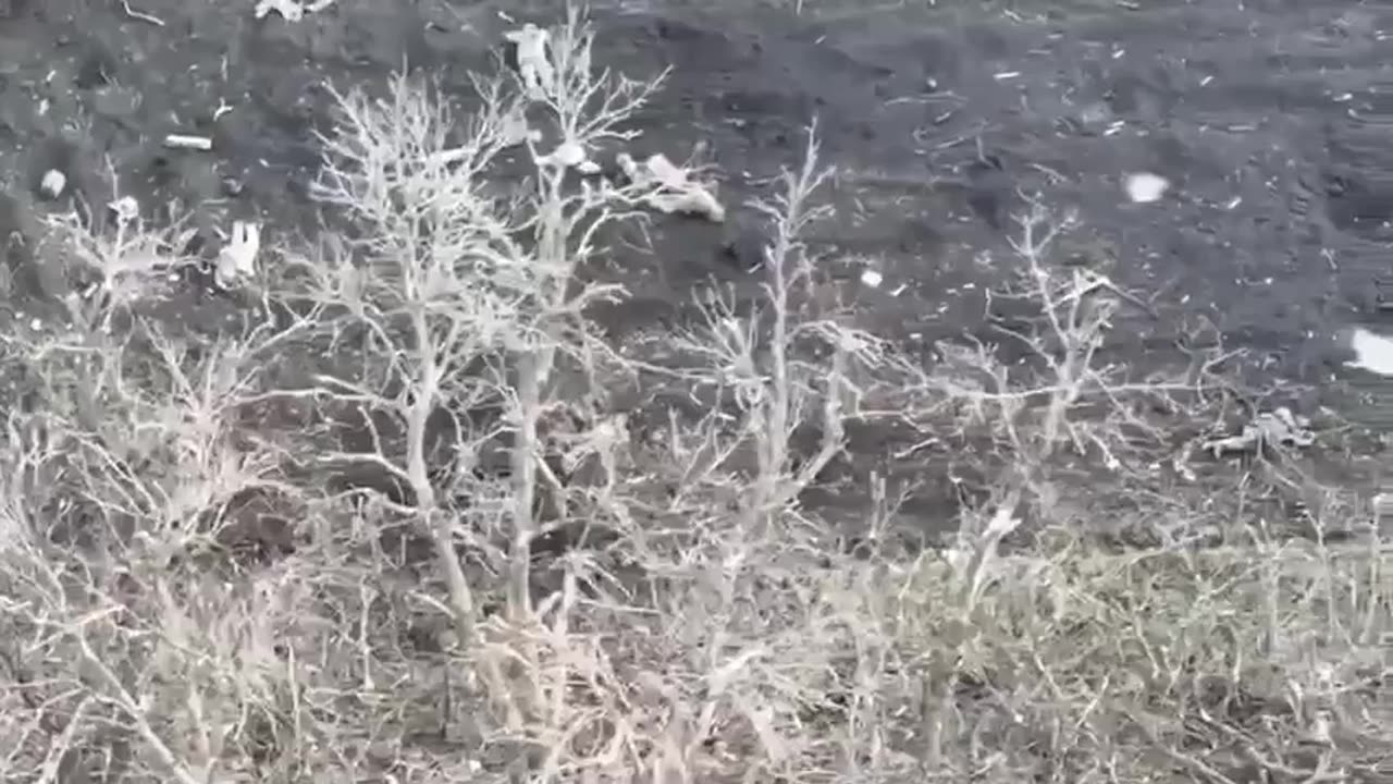 Russians Flee Their Trenches, But Leaves Many