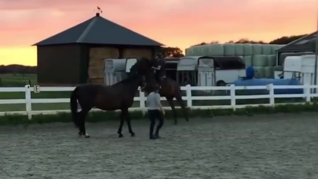 👹👹😁😁🫂🤦🤦