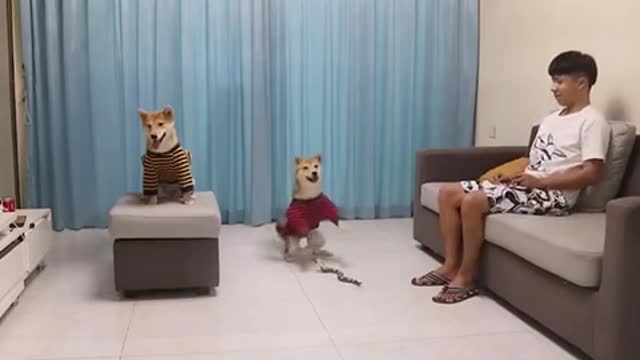 Spread happiness to everyone