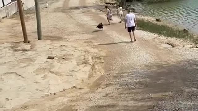 Best dad Award goes to...