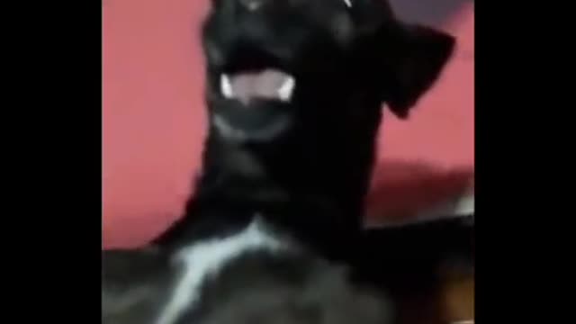 Que cara de assustado