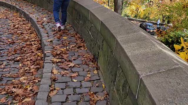 walking outside The Cloisters in the fall 2022