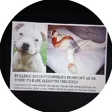 BULLDOG 😳BITES PEDOPHILE’S P#NIS OFF AS HE TRIED TO R%PE SLEEPING CHILDREN