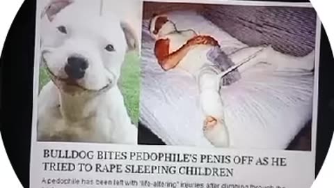 BULLDOG 😳BITES PEDOPHILE’S P#NIS OFF AS HE TRIED TO R%PE SLEEPING CHILDREN