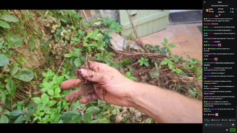 2023-08-19 (1bis.2) - Le point compost est édifiant - Kick Triskel (version avec chat)