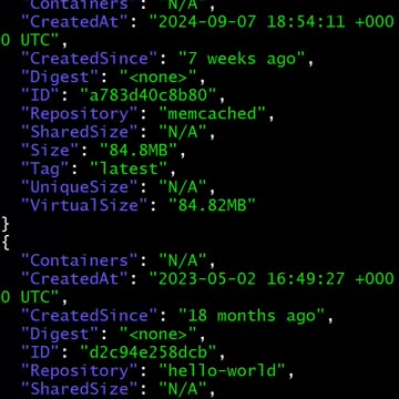 docker: images get size in json
