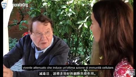 Dr.Montagnier 接受採訪時, 提到了一種抗擊預防結核病的疫苗, 似乎能預防Covid-19感染