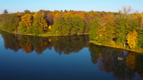 Enchanting Autumn Forests with Beautiful Piano Music