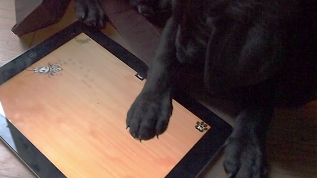 Tech-loving puppy dominates tablet game