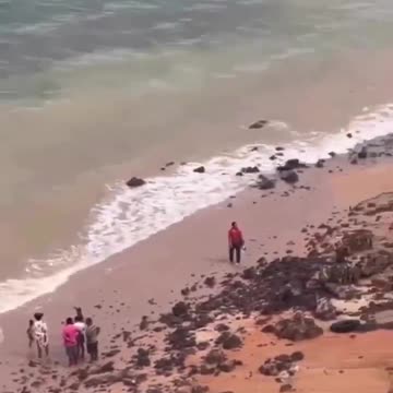 Avião de pequeno porte faz pouso forçado na Região Metropolitana de São Luís