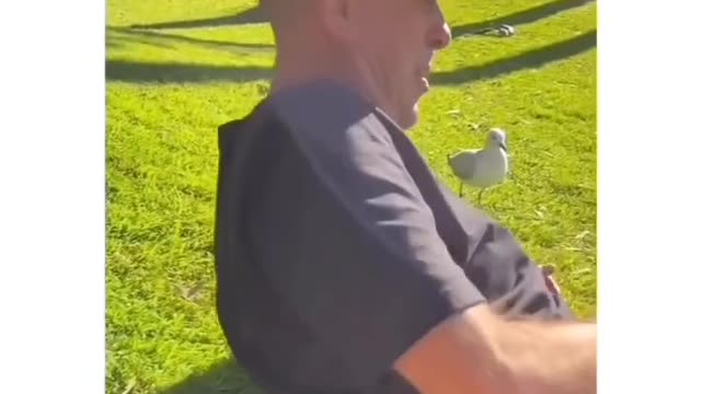 "Dirty birds goin for ma floppa"