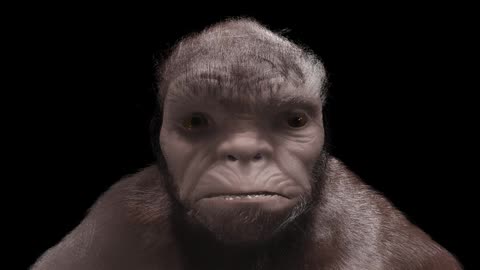 The Face of Bigfoot (a work in progress)