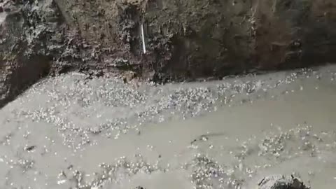 Trench our defenders 🇺🇦