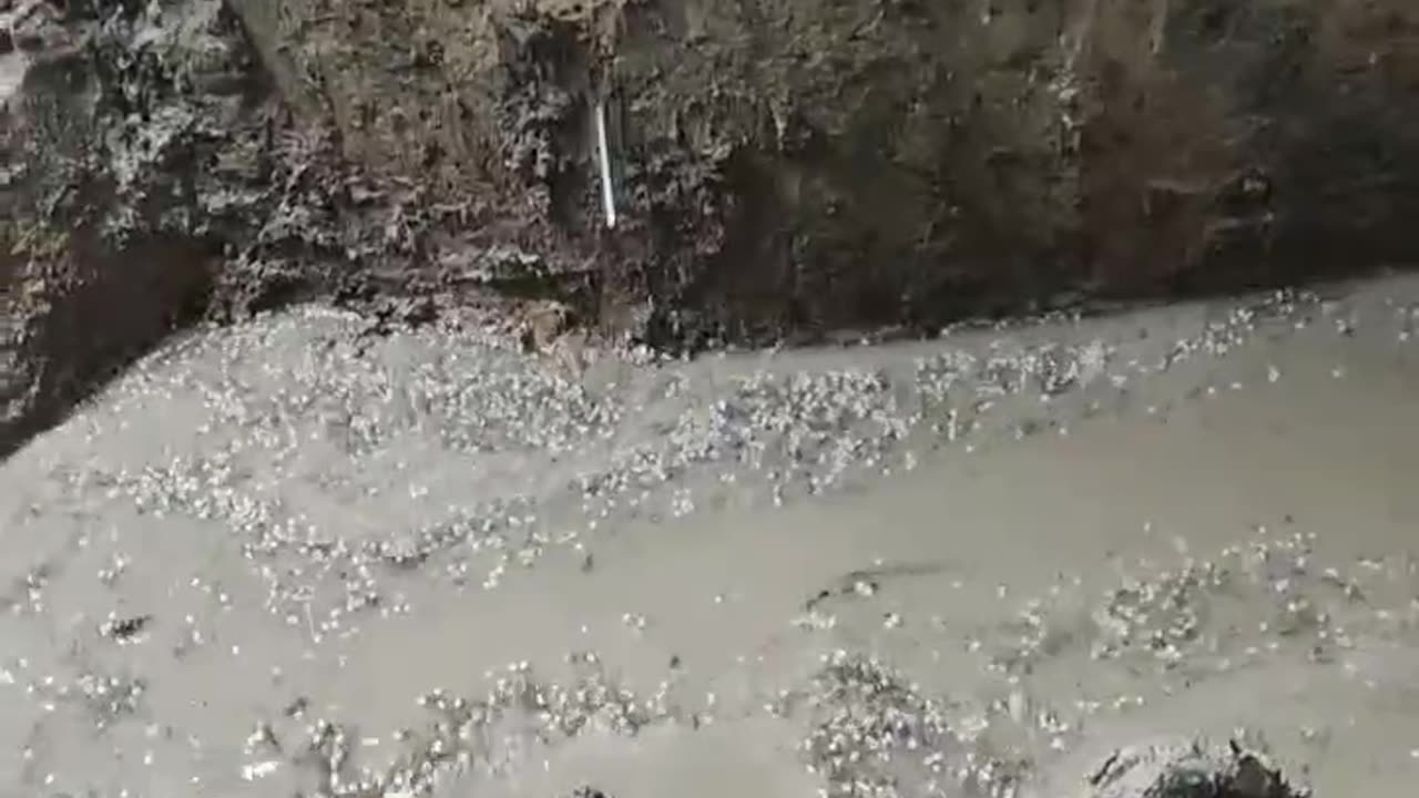 Trench our defenders 🇺🇦