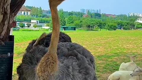 Come and have a look, the beautiful scenery