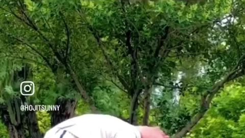 Nature Lovers - Bendy Or Strong