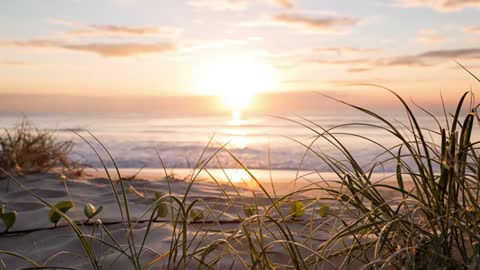 Relaxing Music | Sleeping, Meditation, Stress Relief | [1561] ⭐️