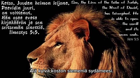 Ei ollut suunniteltu, mutta herra käski hakea 📝 ja välittää🗣️🗣️🙏🌻... Viesti Isältä