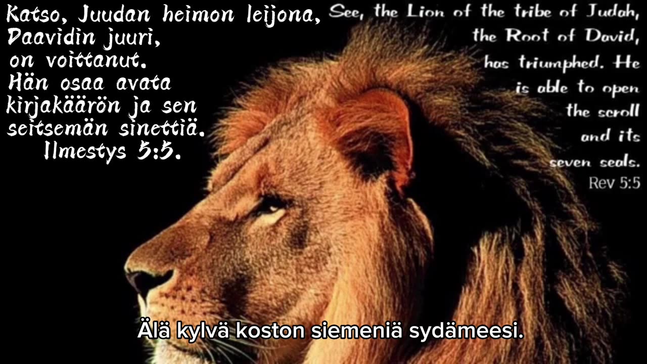 Ei ollut suunniteltu, mutta herra käski hakea 📝 ja välittää🗣️🗣️🙏🌻... Viesti Isältä