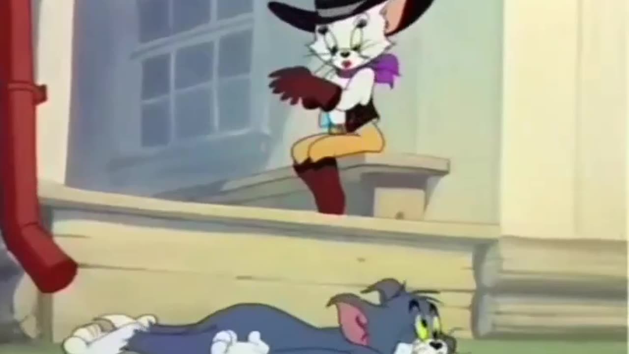Bull...(Tom and Jerry)