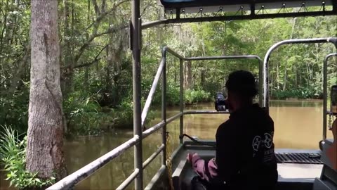 Tiana's Bayou Adventures with Walt Disney's Imagineers Disney Parks