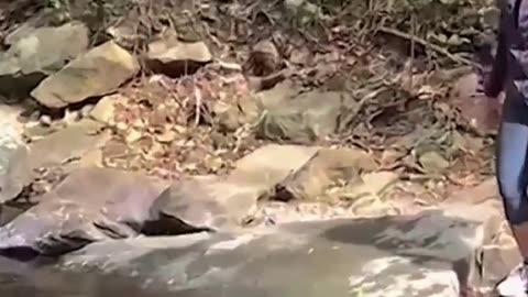 The end 😂😂😂 #shorts #fails #funny #laugh #viral #idiotsradar