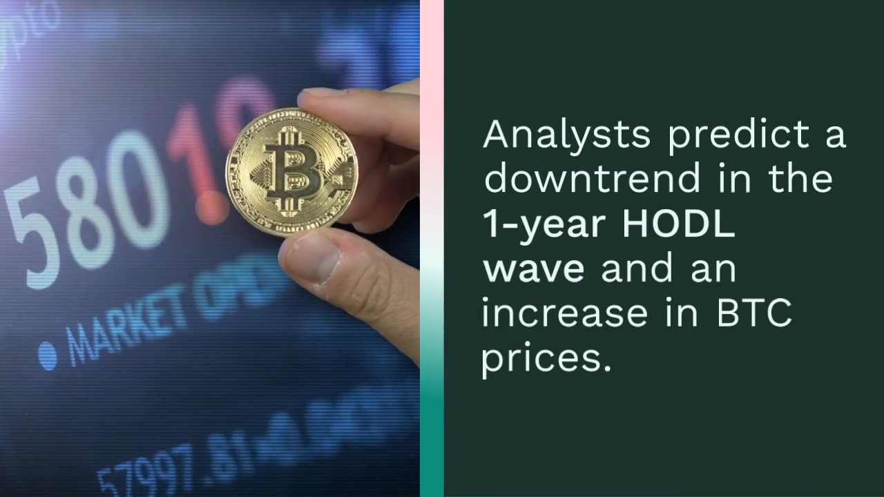 Bitcoin Wealth Transfer Suggests Market Cycle Inflection Point