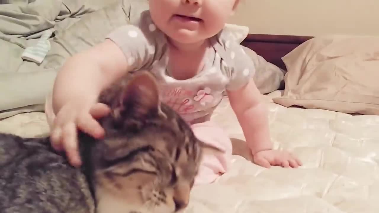 Baby and Cats Are best friend