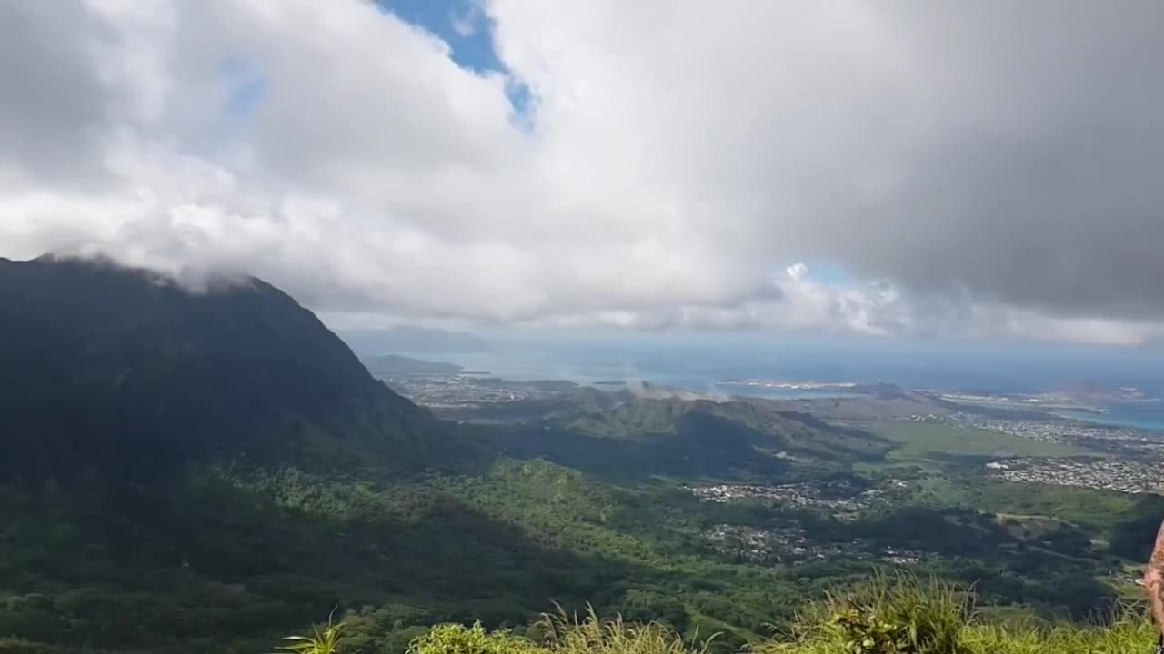 Big Pharma Killed my Buddy Ian - Friend of the Devil