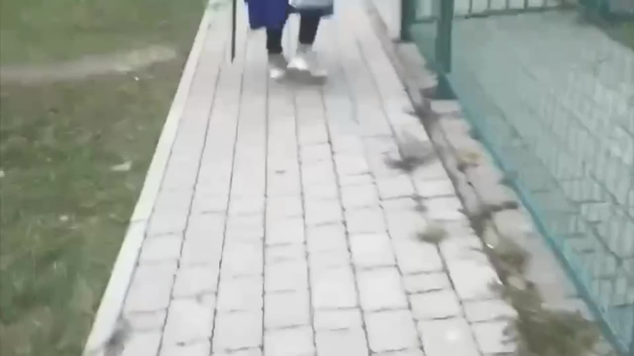 Hooligans assaulting an old defenseless woman in Kharkov/Kharkiv