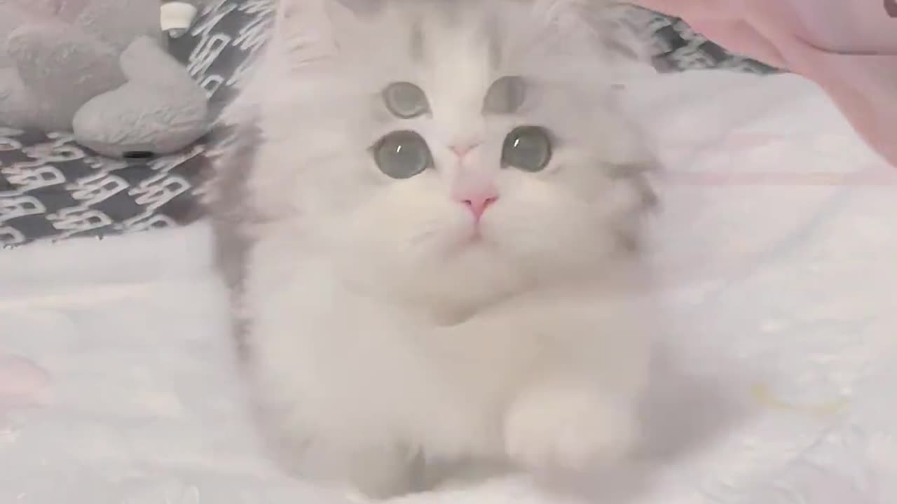 So cute ....