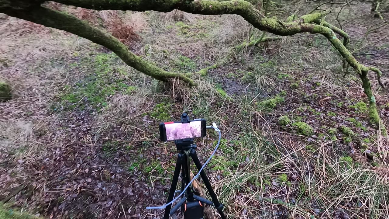 I need to clean the lens on my phone before filming. 22nd March 2023