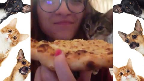 FUNNIEST Animals Eating 😲 😂 | Best Pets Compilation