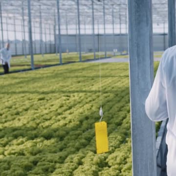 Digging Into Sustainable Horticultural Production With Juan Carlos Díaz-Pérez