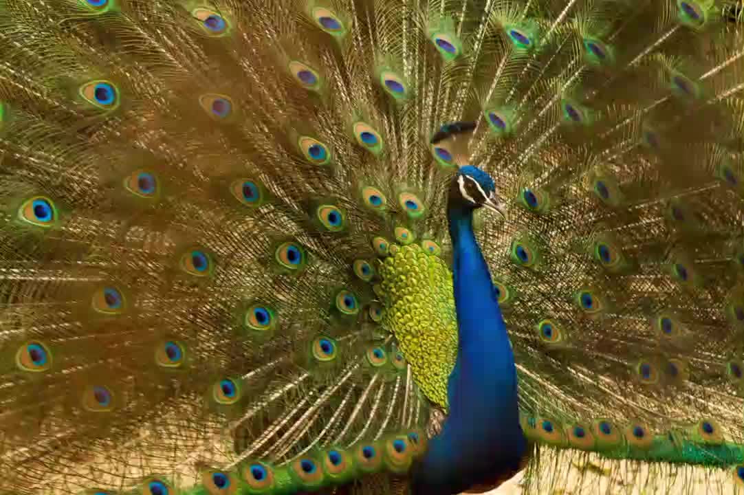 Relaxing images